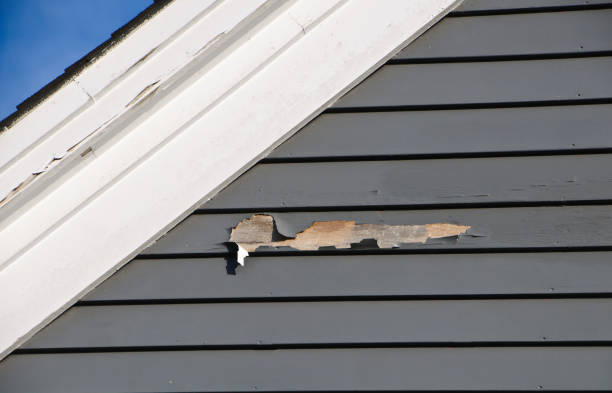 Best Brick Veneer Siding  in Algonac, MI