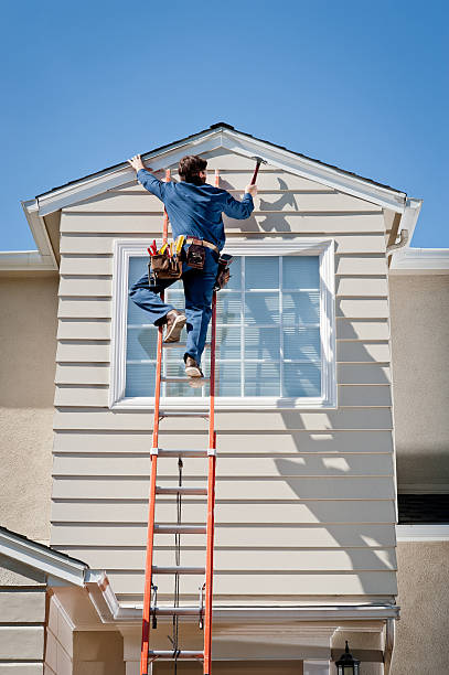 Best Siding for New Construction  in Algonac, MI